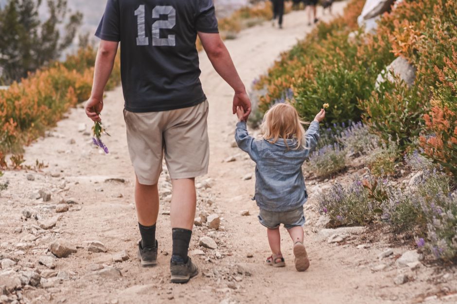 The Great Outdoors: Rediscovering Nature with Your Kids in 2026