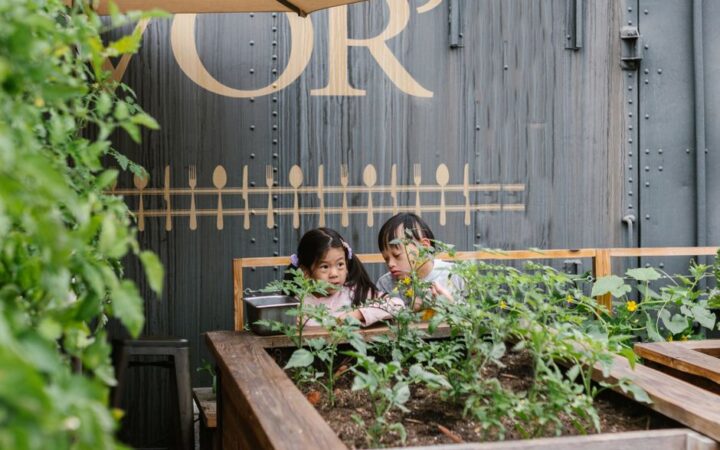 The Green Thumb Revolution: Cultivating Young Gardeners in 2026