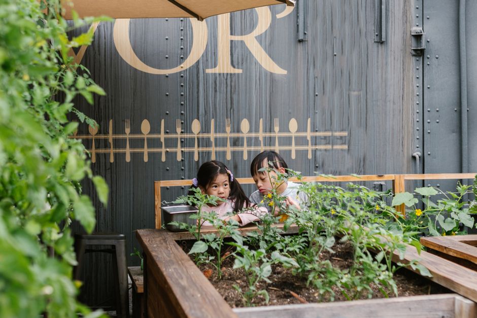 The Green Thumb Revolution: Cultivating Young Gardeners in 2026